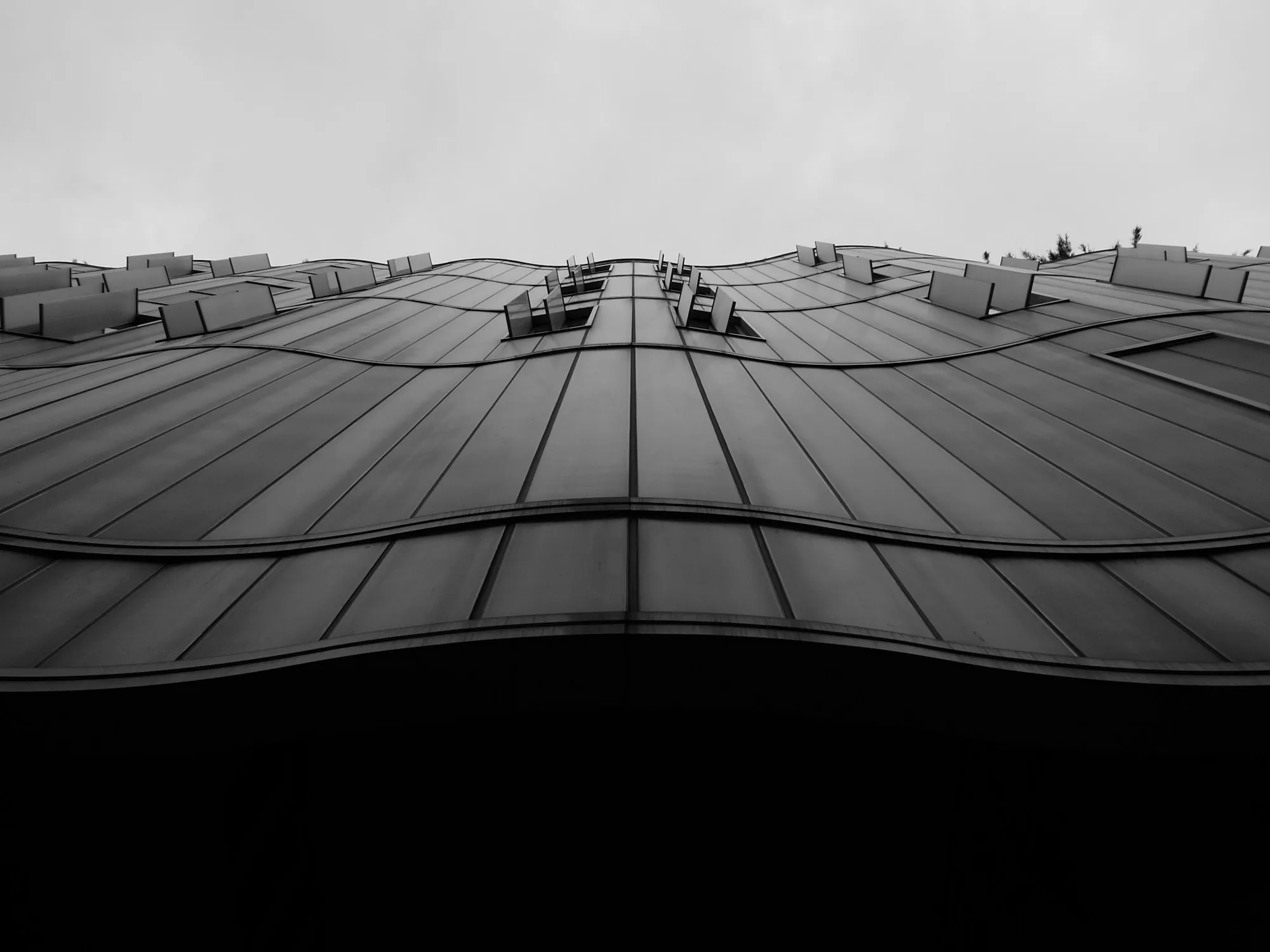 Black and white view of a long standing seam metal roof
