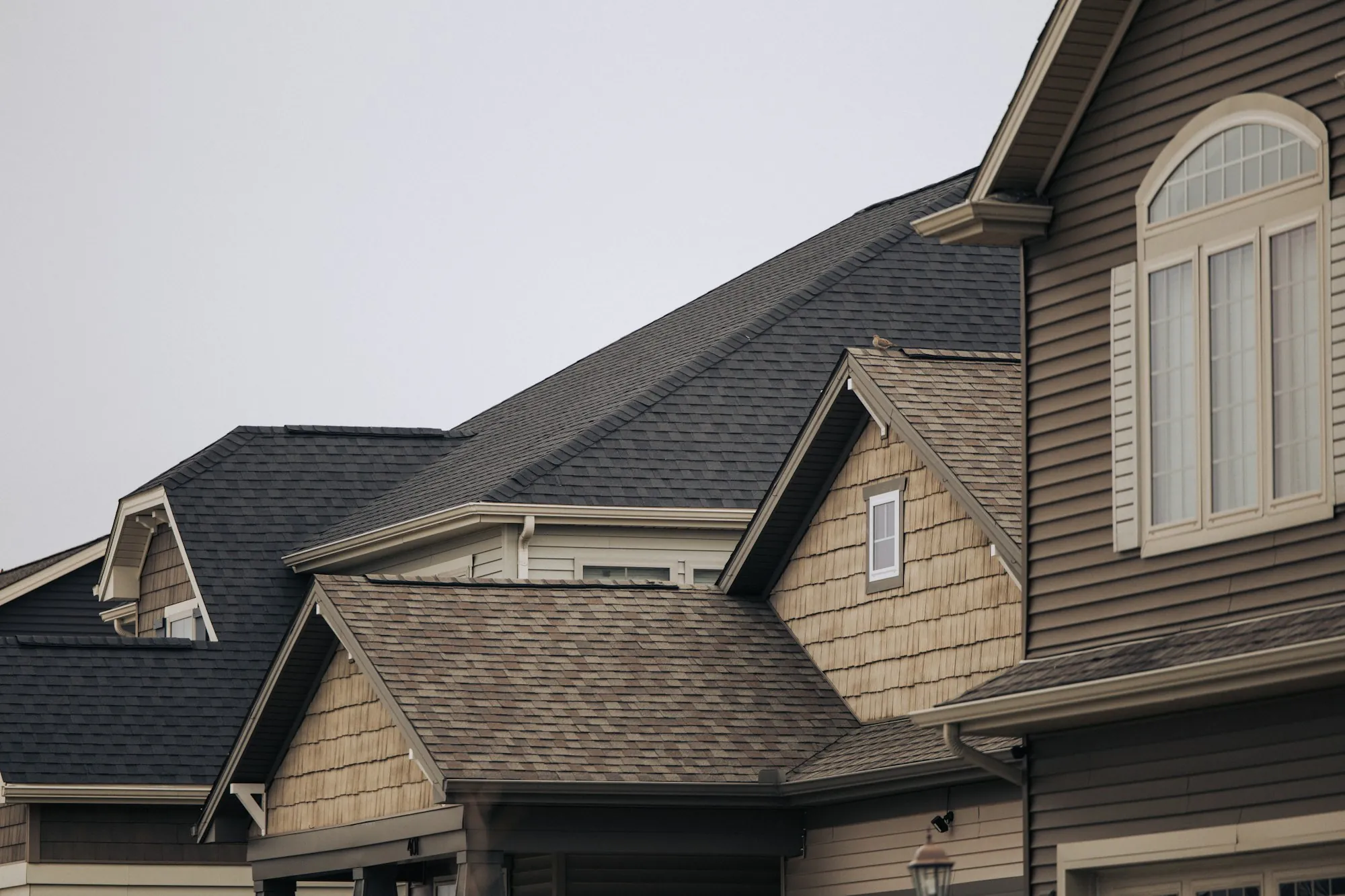 Close view of brown architectural shingle roofs on neighboring homes