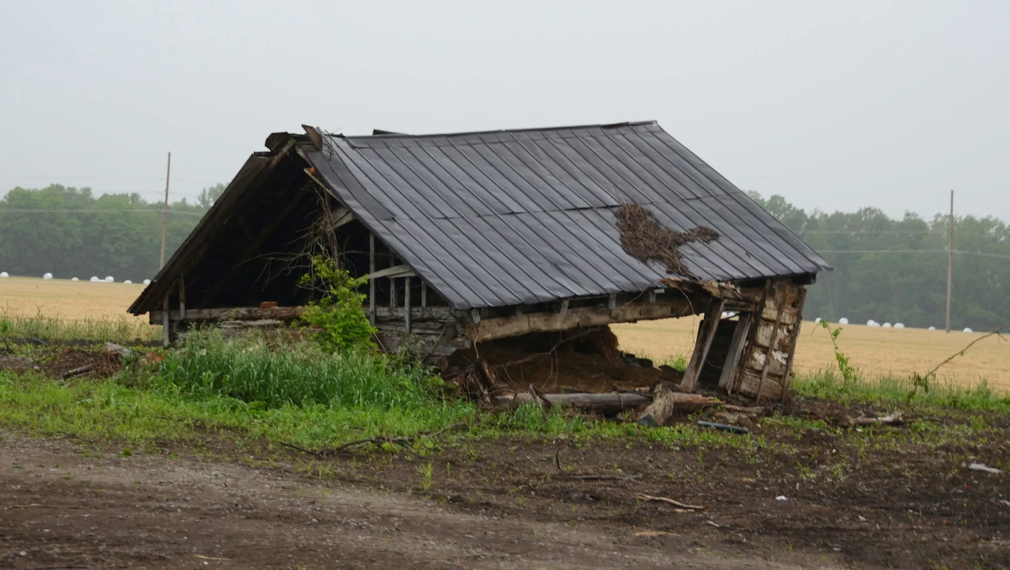 Wind-damaged wooden shed with a sagging roof